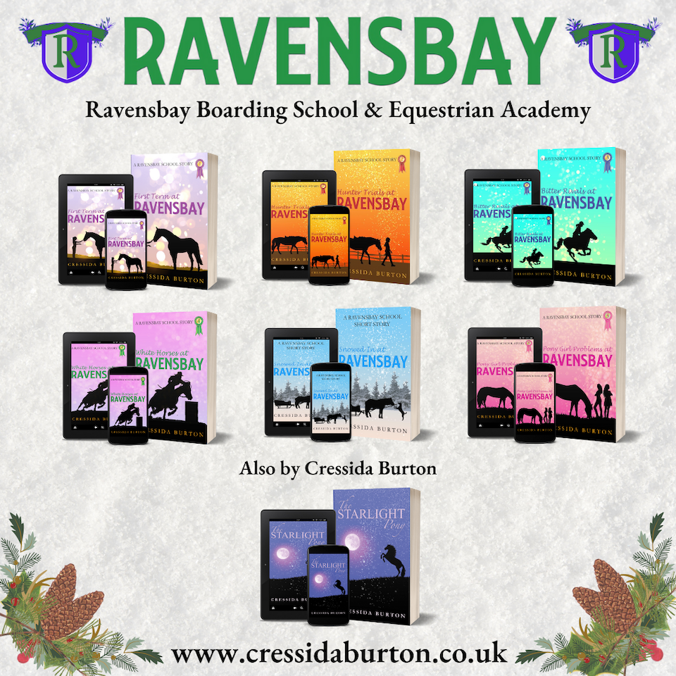 Ravensbay series by Cressida Burton