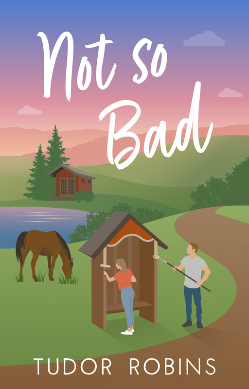 Not so Bad by Tudor Robins, a small-town contemporary romance and women's fiction horse book for equestrian readers